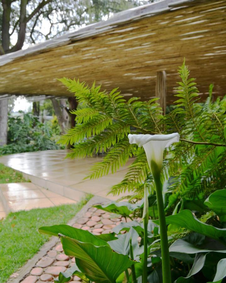 Highveld Splendour Boutique Bed And Breakfast Ermelo Dış mekan fotoğraf